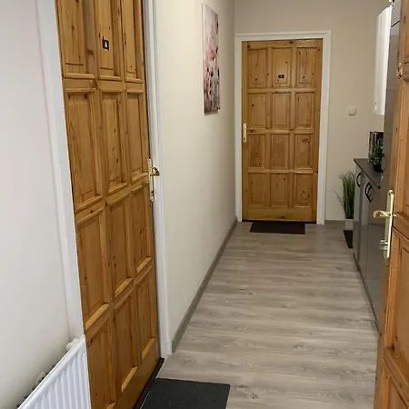 Silver Shine Appartamento Debrecen