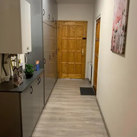 Silver Shine Debrecen