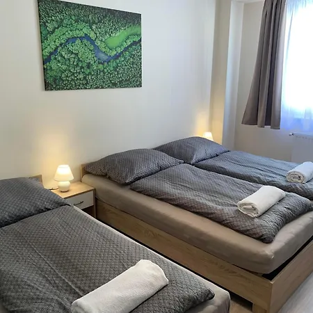 Silver Shine Apartment