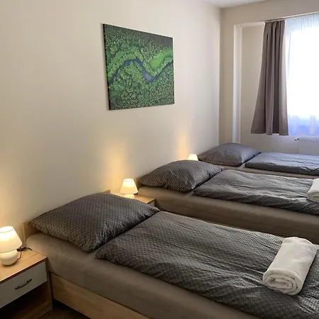 Silver Shine * Debrecen