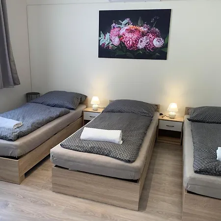 Silver Shine * Debrecen