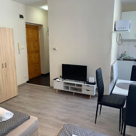 Silver Shine Apartment *